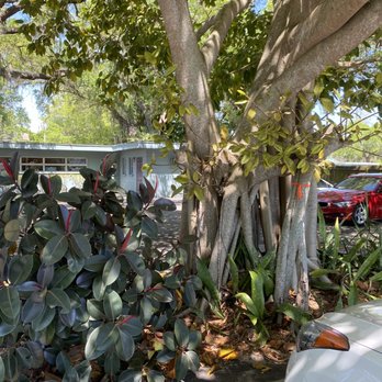 DeSoto Animal Clinic - Outside area with other vet section? - Veterinarians Near Me - Bradenton, Florida