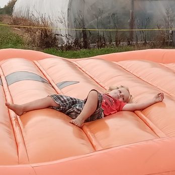 Swan Pumpkin Farm - Finnegan is done. Time to rest - Pumpkin Patches Near Me - Franksville, Wisconsin