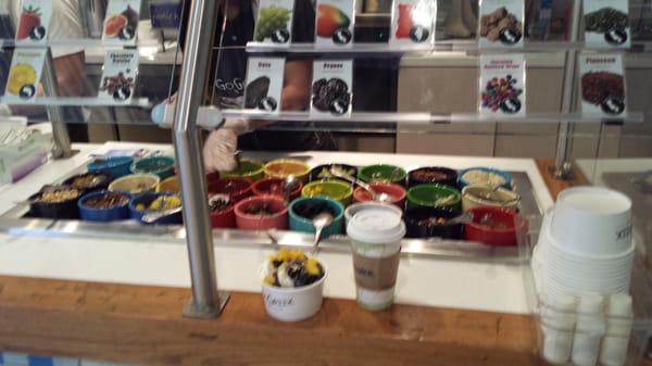 Go Greek Yogurt by null
