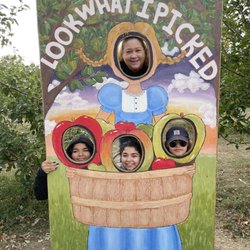Allen's Orchard