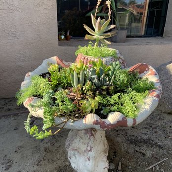 White Forest Nursery - Our project we did this week. Turned out great! - Nurseries & Gardening Near Me - Bakersfield, California