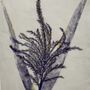 Trails ARTware