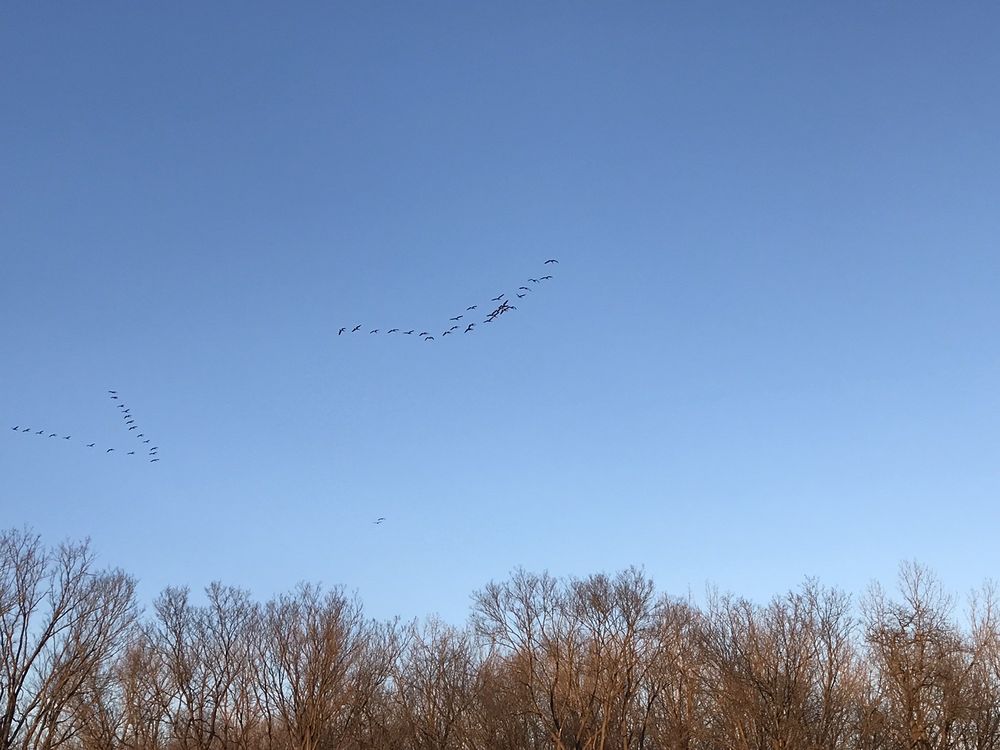 Scioto Grove Metro Park