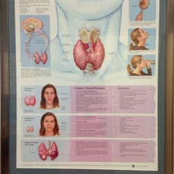Argoud Georges M, MD