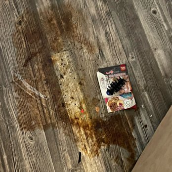 Ms. Clean Cleaning Services - Dirty floors? Don't worry, we got it! - Home Cleaning Near Me Ms. Clean Cleaning Services - Dirty floors? Don't worry, we got it! - Home Cleaning Near Me