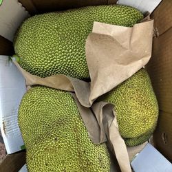 Deshi Bazar - Jack Fruits Price Range $15-$30