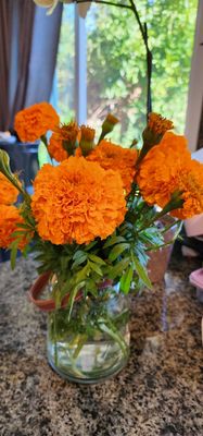Niles Farmer's Market by null