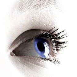 Eye & Contact Lens Associates of North Texas