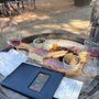 Photo of Amador Cellars