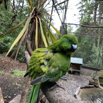 Kiwi Birdlife Park - Parks Near Me - Queenstown, OTA