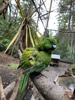 Kiwi Park Queenstown by null