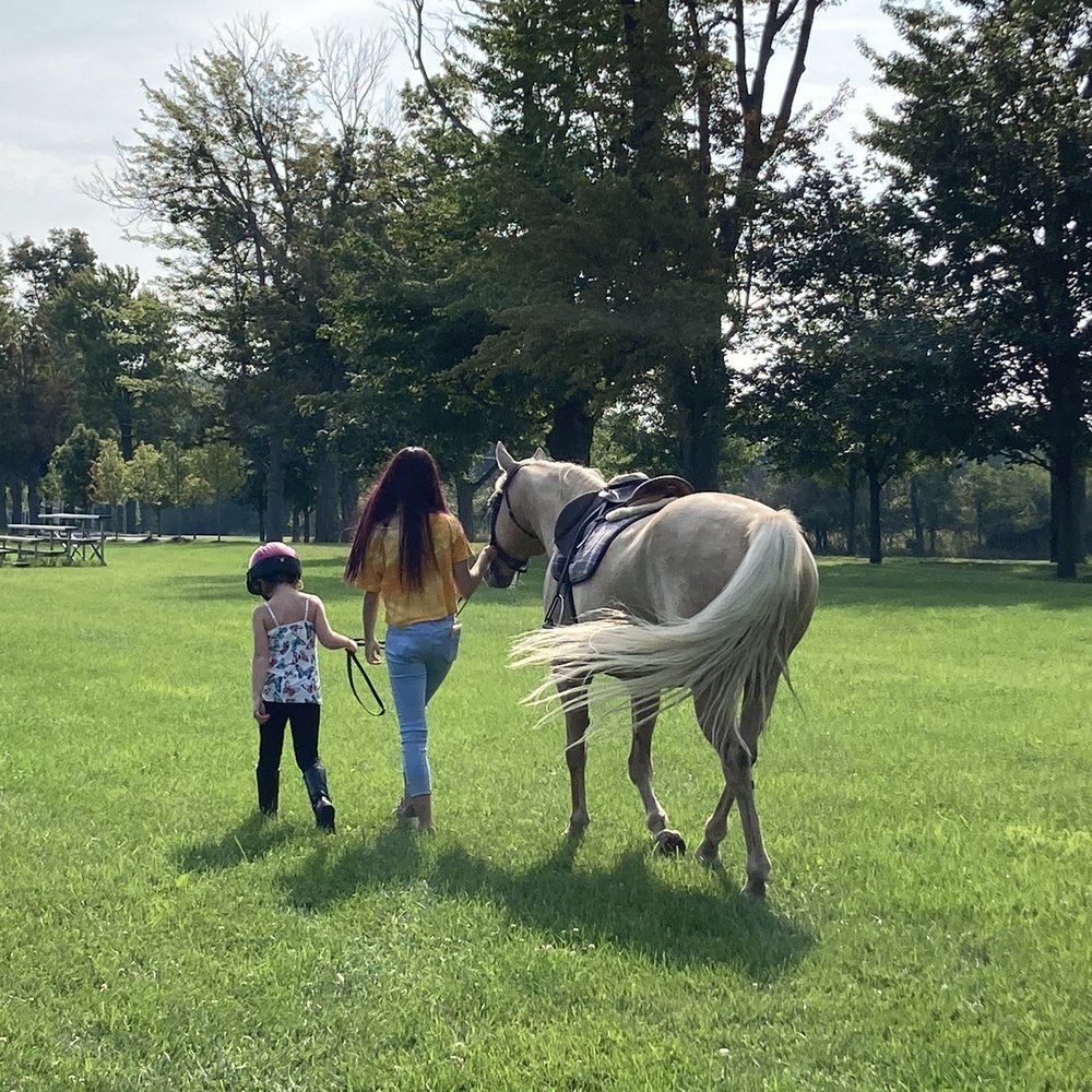Legacy Equestrian Center - Horseback Riding Near Me - East Amherst, New York Legacy Equestrian Center - Horseback Riding Near Me - East Amherst, New York