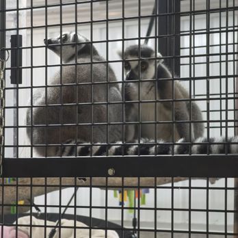 Aikman Wildlife Adventure - Parks Near Me - Arcola, Illinois