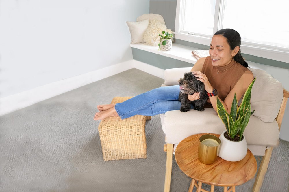 M.S. CHEMDRY Updated September 2024 87 Photos 8943 J St, Omaha