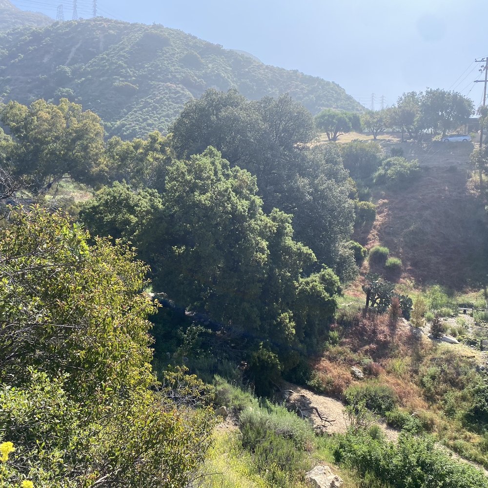 Echo Mountain via the Sam Merrill Trail - Parks Near Me - Altadena, California Echo Mountain via the Sam Merrill Trail - Parks Near Me - Altadena, California