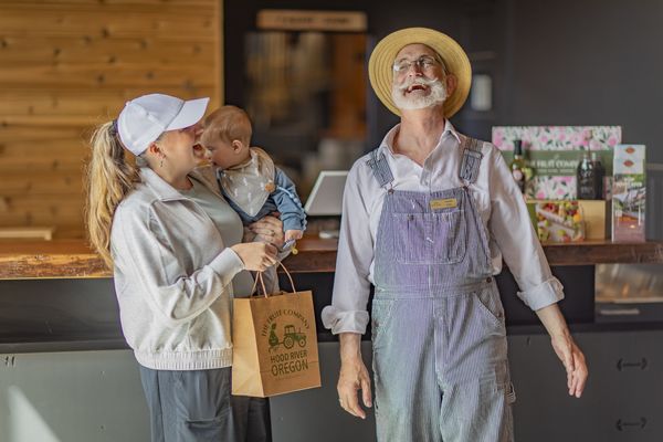 The Fruit Company - Factory Experience by null