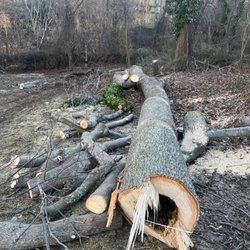 Streeff Tree Experts - They removed this huge tree and two other similar ones quickly and efficiently.  Left the place better than they found it!