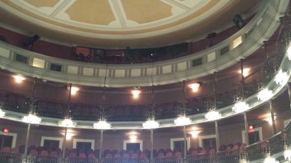 Angela Peralta Theater by null