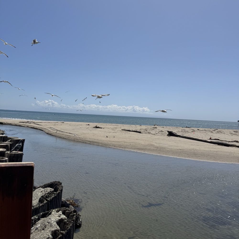 The Sand Bar - View from the patio - Cocktail Bars Near Me - Capitola, California The Sand Bar - View from the patio - Cocktail Bars Near Me - Capitola, California