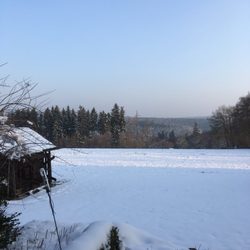 Black Forest Guest Stay - .... Blick aus dem Fenster...