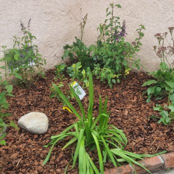 Amado Landscaping - Landscaping Near Me - Hawthorne, California Amado Landscaping - Landscaping Near Me - Hawthorne, California