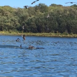 Klamath River Jet Boat Tours - We saw sea loins catching fish!!