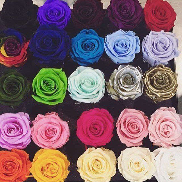 Photos For Venus Et Fleur Yelp