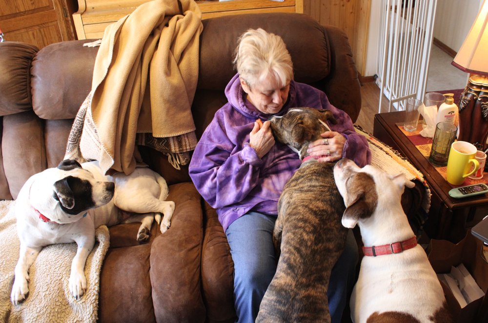 DAKOTA PET HOSPITAL Updated September 2024 28 Photos & 14 Reviews