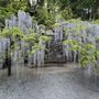 Photo of Elk Rock Garden