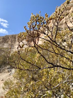 Montezuma Castle National Monument by null