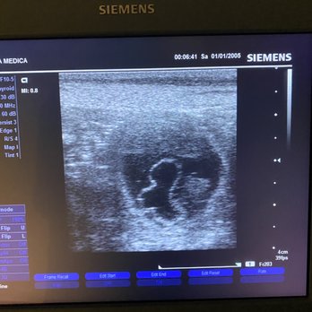 SoCal K9 Clinic - Ultrasound - Veterinarians Near Me - Riverside, California SoCal K9 Clinic - Ultrasound - Veterinarians Near Me - Riverside, California