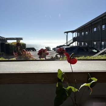 Cavalier Coastal Kitchen - A picture from our table. - American Near Me - San Simeon, California Cavalier Coastal Kitchen - A picture from our table. - American Near Me - San Simeon, California