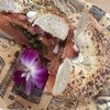 Tiki Bagel gift card