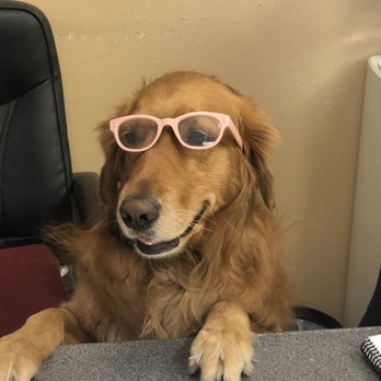 Doggie Doos Grooming - Pet Groomers Near Me - Phoenix, Arizona