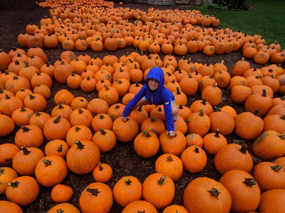 COSLEY ZOO 229 Photos & 117 Reviews Zoos 1356 N Gary Ave, Wheaton