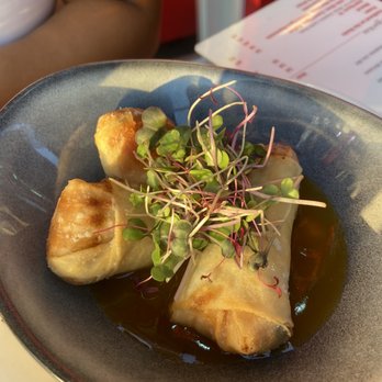 Mama Sushi - Crispy Vegetable Spring Rolls - Sushi Bars Near Me - New York, New York