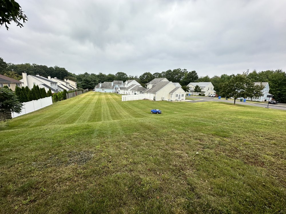 Berdecia Landscaping - tree service in Rocky Hill, CT