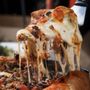 Photo of Chicago Deep Dish Pizza