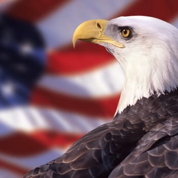 iCheck Environmental - Veteran Owned Carpet Cleaning you can trust. - Environmental Testing Near Me iCheck Environmental - Veteran Owned Carpet Cleaning you can trust. - Environmental Testing Near Me