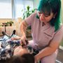 Photo of Kasputis Chiropractic