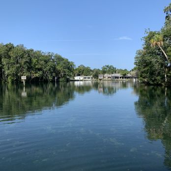 Snorkeling With Manatees - Snorkeling Near Me - Crystal River, Florida Snorkeling With Manatees - Snorkeling Near Me - Crystal River, Florida