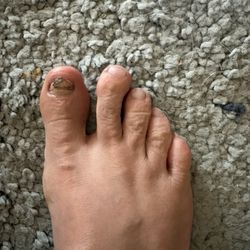 Shellac Nails and Spa