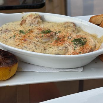 The Mystic Kitchen & Tasting Room - Shrimp in heavy spicy cream sauce - Cocktail Bars Near Me - Bloomington, Illinois