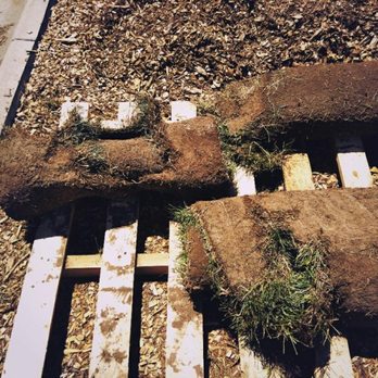 Sod King - Old dried-up and torn pieces. Useless. - Snow Removal Near Me - Salt Lake City, Utah Sod King - Old dried-up and torn pieces. Useless. - Snow Removal Near Me - Salt Lake City, Utah