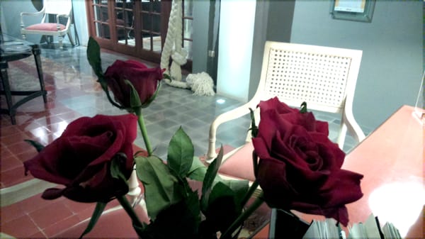 Rosas & Xocolate Boutique Hotel + SPA by null