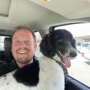 Just Dog Pet Grooming - Pet Groomers Near Me - Sparks, Nevada Just Dog Pet Grooming - Pet Groomers Near Me - Sparks, Nevada