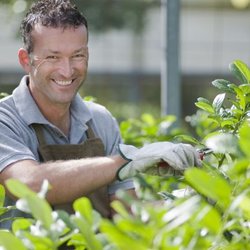 Elkhart Lawn Care - Gardening Services in Elkhart, Indiana