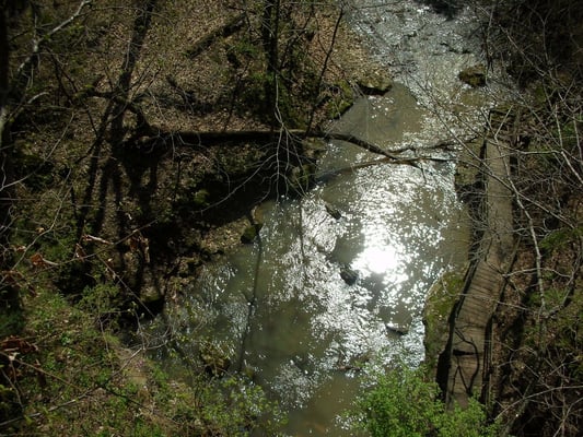Rock Bridge Memorial State Park by null