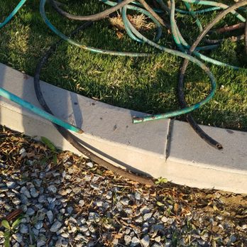 Bergman Landscape - More cut hoses. - Landscaping Near Me - Hilmar, California Bergman Landscape - More cut hoses. - Landscaping Near Me - Hilmar, California