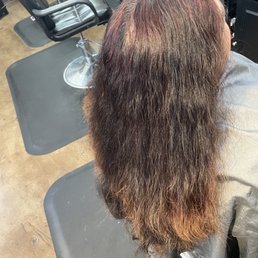 Multi color hair that eventually faded/grew out. Multi color hair that eventually faded/grew out.